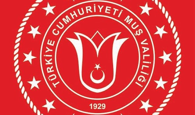 Kediye işkence edilen görüntülerin Muş'ta kayıt altına alınmadığı tespit edildi