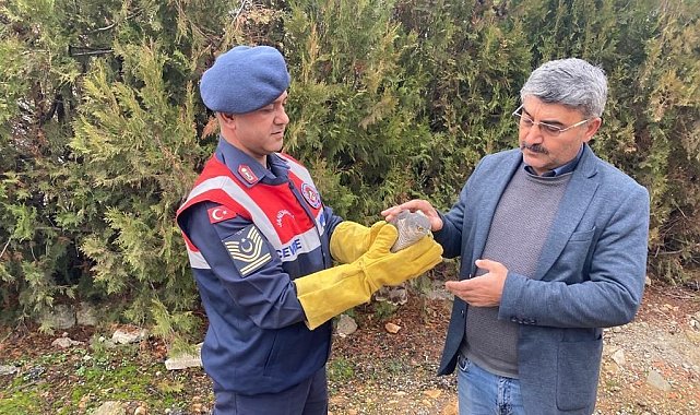 Malatya'da yaralı bulunan Atmaca koruma altına alındı