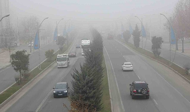 Malatya'da yoğun sis