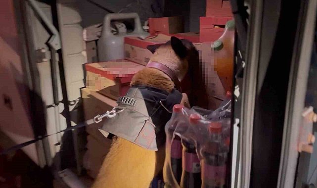 Muş&#039;ta 2 kilo 21 gram metamfetamin ele geçirildi