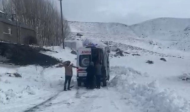 Muş'ta ekipler yolu kapanan köylerdeki hastalar için seferber oldu