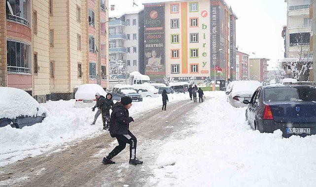 Muş'ta kar yağışı hayatı olumsuz etkiledi