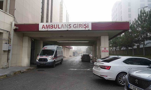 Muş'ta otomobilin çarptığı bir kişi hayatını kaybetti