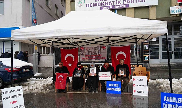 Muşlu annelerin evlat nöbeti devam ediyor
