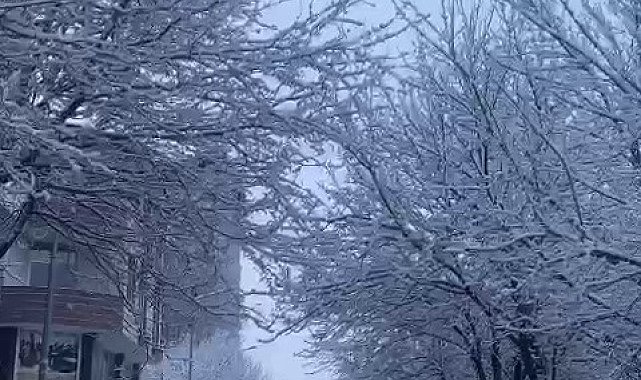 Patnos'ta köy yolları ulaşıma kapandı