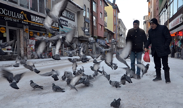 Sarıkamış'ta esnaf yaban kuşlarını unutmadı