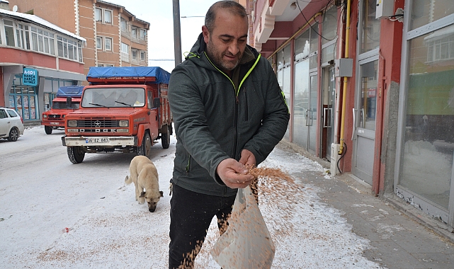 Sarıkamış'ta esnaflar güvercinleri besledi