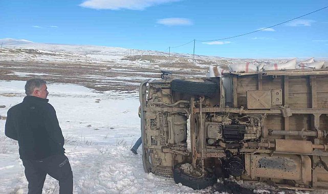 Susuz'da saman yüklü kamyonet devrildi