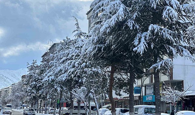 Tatvan'da araçlar kara gömüldü