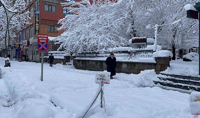 Tatvan'da kar yağışı