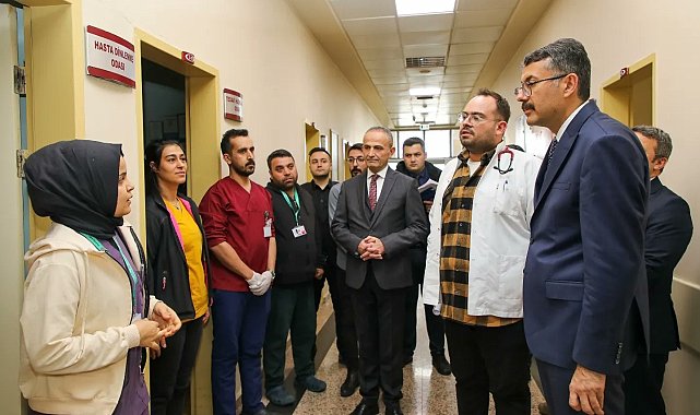 Vali Çelik, Yüksekova'da incelemelerde bulundu