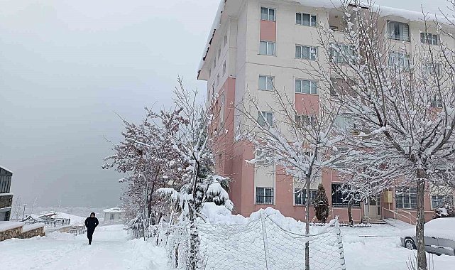 Van güne kar yağışıyla uyandı