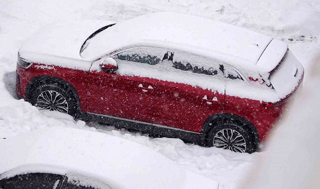 Van'da kar yağışı: 61 yol kapandı