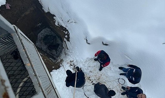 Van'da kuyuya düşen köpeği itfaiye ekipleri kurtardı
