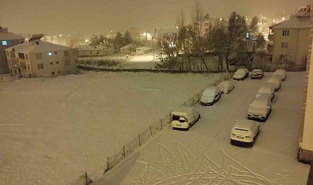 Varto'da kar yağışı hayatı olumsuz etkiledi