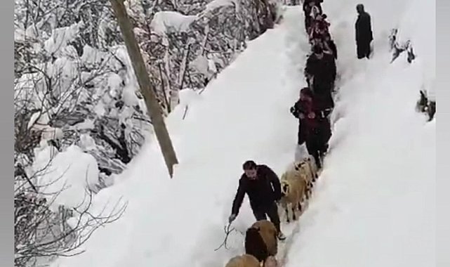 Vatandaşlar sürü ile birlikte kuzuları kucaklarında taşıdılar