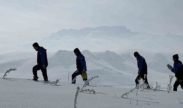 Yüksekova polisi hayvanlar için doğaya yem bıraktı