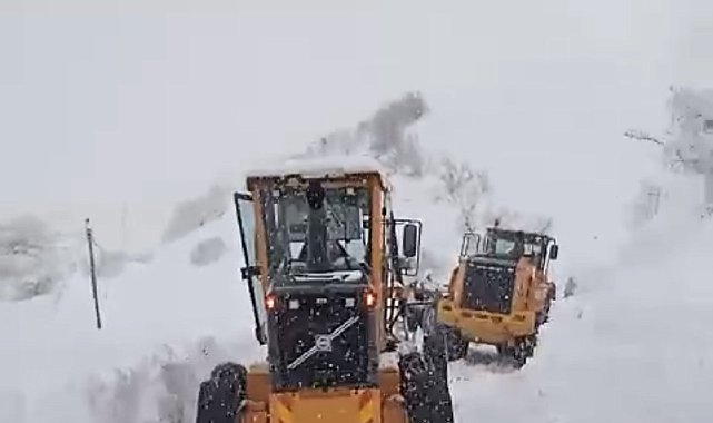 Yüksekova-Şemdinli kara yoluna düşen çığlar temizleniyor