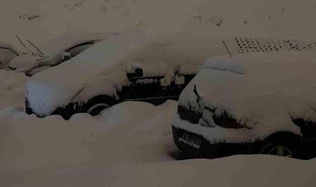 Yüksekova'da kar kalınlığı 20 santimetreyi buldu: Araçlar kara gömüldü
