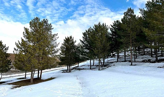 Ağrı'da kartpostallık kar manzaraları
