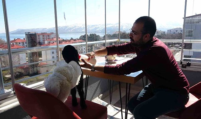 Annesinin reddettiği kuzuya bebek şefkati