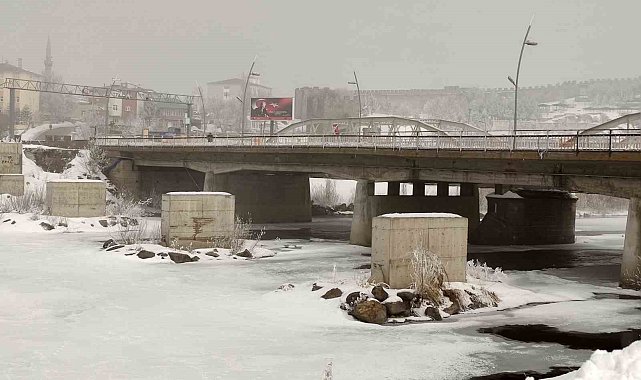 Ardahan'da dondurucu soğuk: Ağaçlar kırağı tuttu