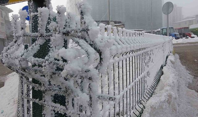 Ardahan'da dondurucu soğuklar hayatı durma noktasına getirdi