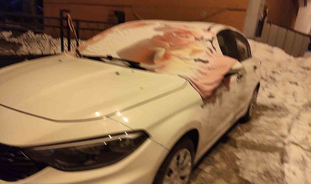 Ardahan'da Sibirya soğukları