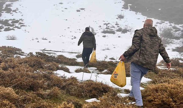 Bingöl'de yaban hayvanları için yemleme çalışması sürüyor