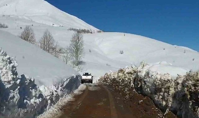 Bingöl'ün Yayladere ilçesi kırsalında kardan kapanan köy yolları açılmaya çalışılıyor