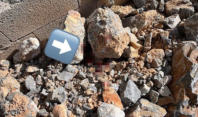 Çalıştığı inşaatın çatısından düşen işçi öldü