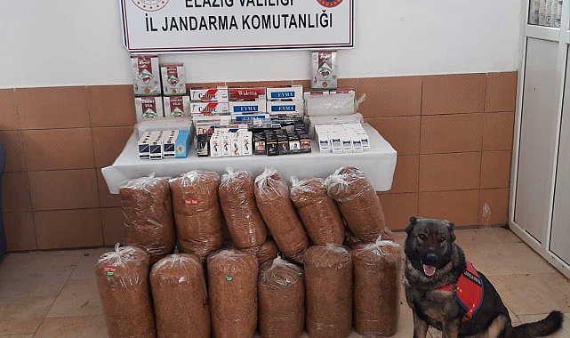 Elazığ'da 150 kilo kaçak tütün ele geçirildi