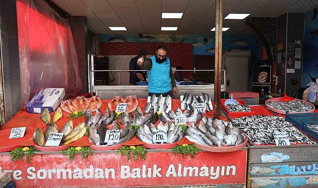 Elazığ'da en çok tercih edilen balık çeşitleri hamsi, istavrit ve alabalık oldu
