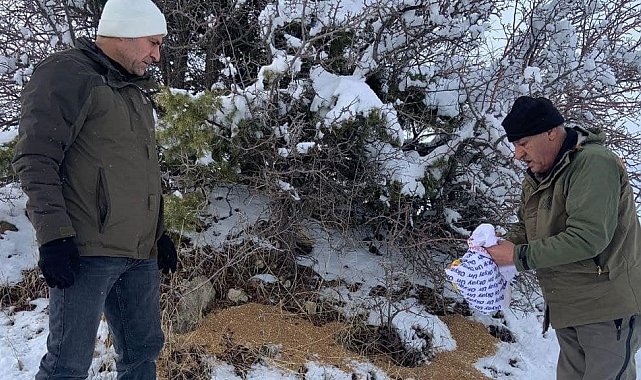 Elazığ'da yaban hayvanları unutulmadı: Doğaya 300 kilo yem bırakıldı