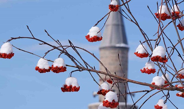 Erzurum hafta sonuna kadar kar yağışı bekleniyor