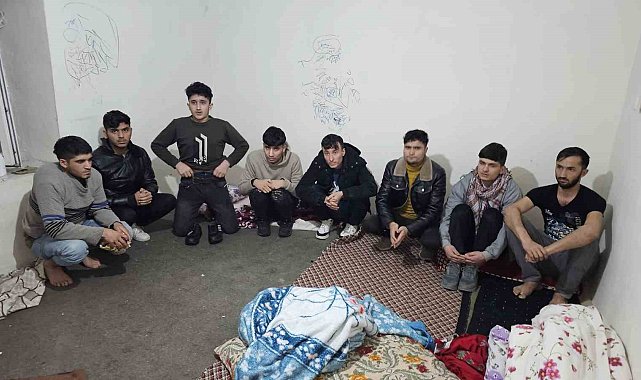 Hakkari'de 9 kaçak göçmen yakalandı