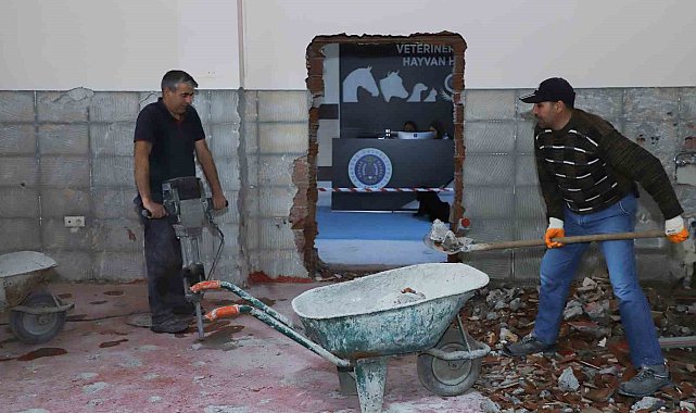 Hayvan hastanesinde yapım onarım çalışmaları sürüyor