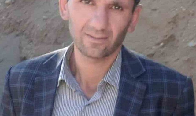 Hizan'da üzerine ağaç devrilen adam hayatını kaybetti