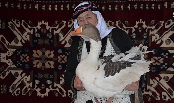 Kucağında kazlarını tutan kadınlar