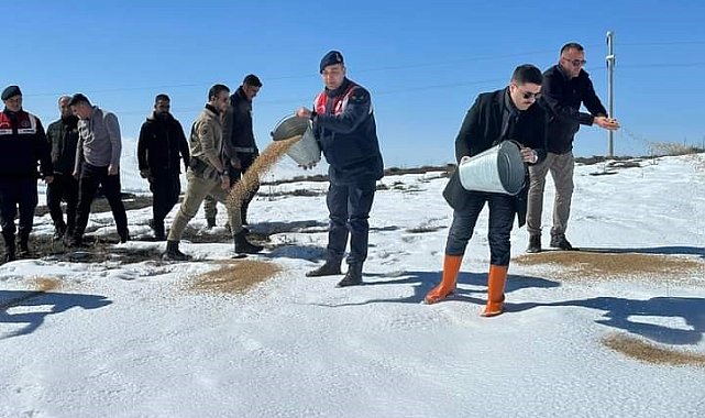 Özalp ilçesinde sokak ve yaban hayvanları için yem bırakıldı