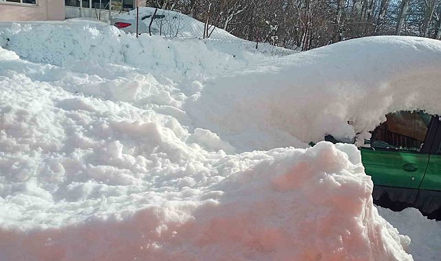 Posof'ta karla mücadele çalışmaları sürüyor