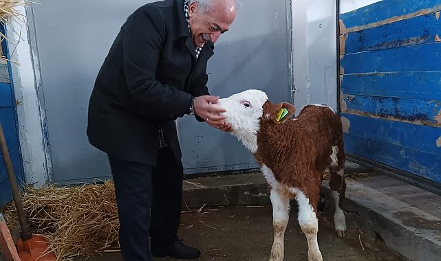 Rektör Çomaklı, büyükbaş hayvan çiftliğinde incelemelerde bulundu