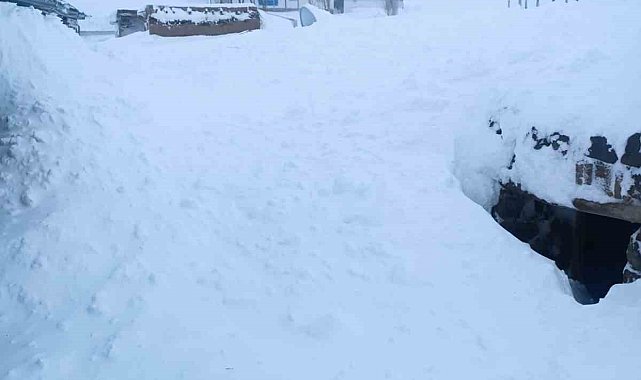 Van'da bir evin üzerine çığ düştü