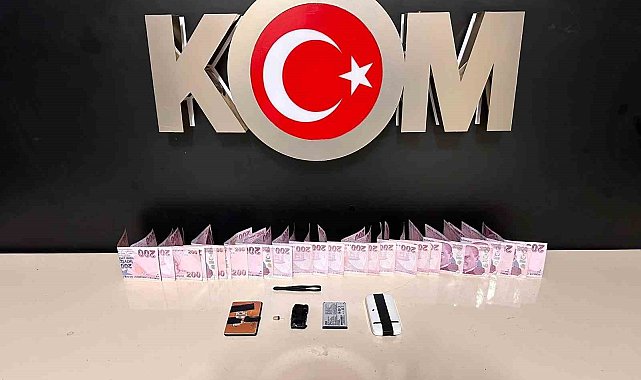 Van'da gümrük kaçakçılığı operasyonları