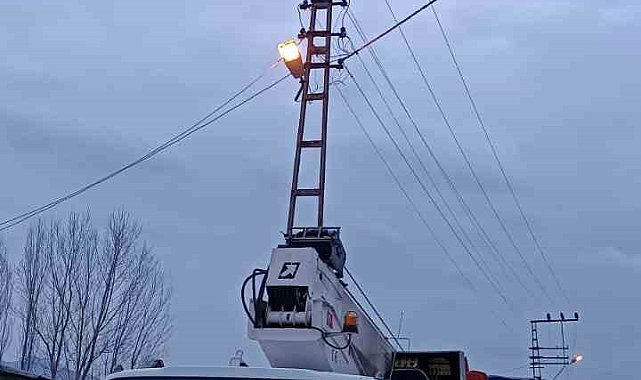 Yüksek gerilim hattına takılan güvercin ekipler tarafından kurtarıldı