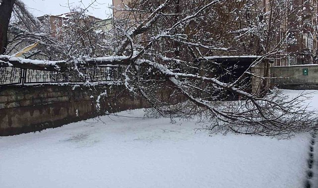 Ağrı'da bahar havası yerini kara bıraktı