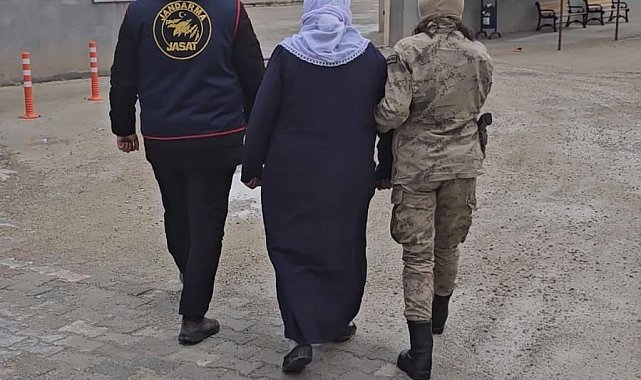 Ağrı'da firari olan 9 kişi jandarma tarafından yakalandı