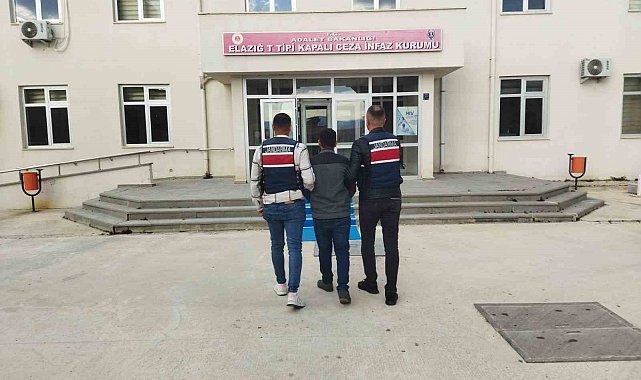 Bingöl'de 7 yıl hapis cezası olan şahıs yakalandı