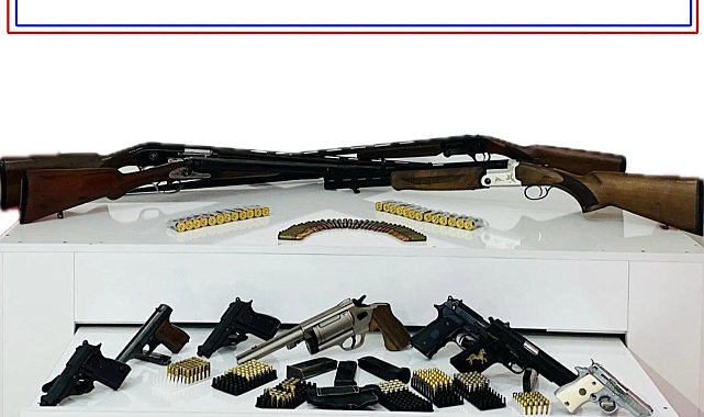 Bingöl'de silah kaçakçılığı operasyonu: 1 gözaltı