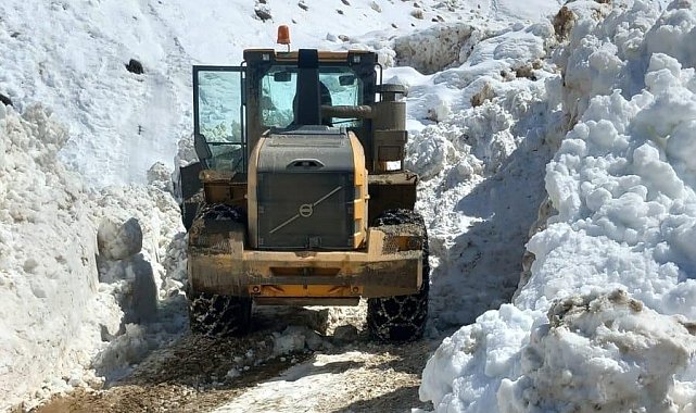 Bitlis&#039;te bütün köy yolları açıldı